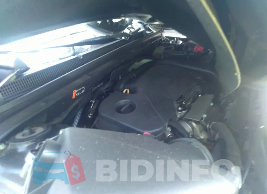 1G1ZD5ST0MF016291 Photo# 10