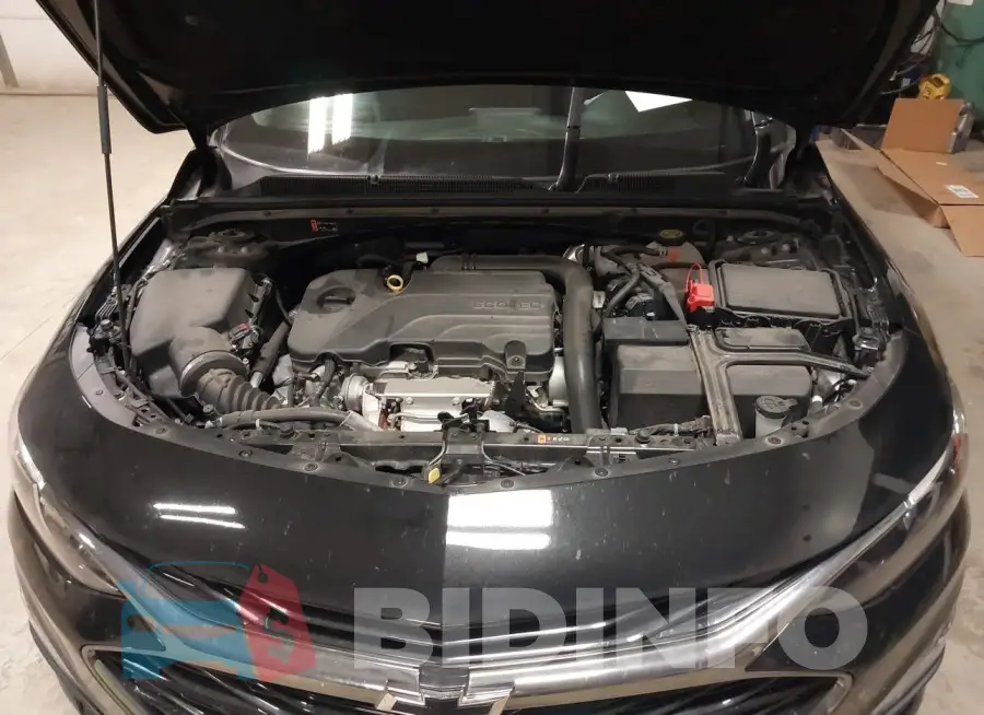 1G1ZD5ST7LF151332 Photo# 10