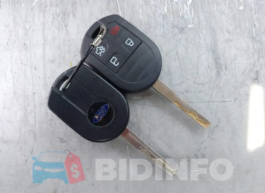 1FADP3K20GL219973 Photo# 11
