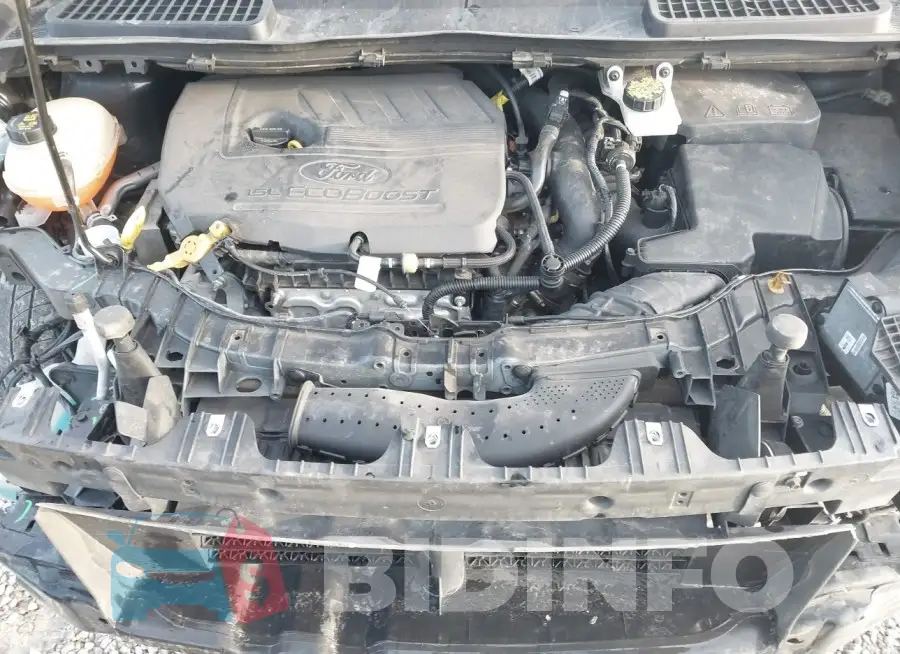 1FMCU0GD2KUB56381 Photo# 10