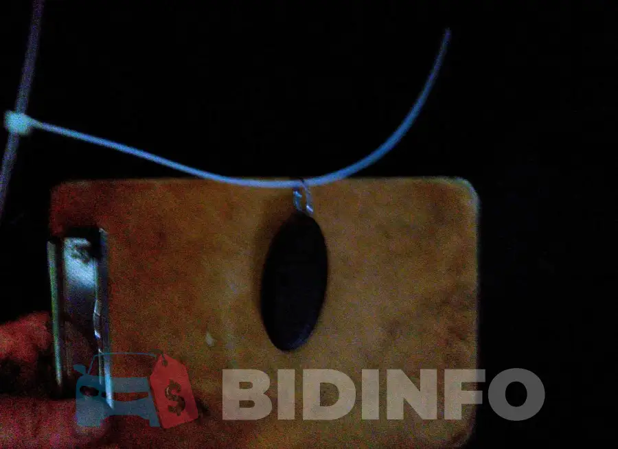 KNMAT2MTXHP605836 Photo# 11