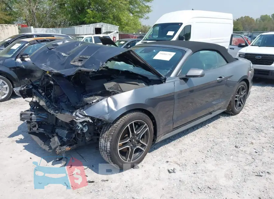 1FATP8UH4M5101466 Photo# 2