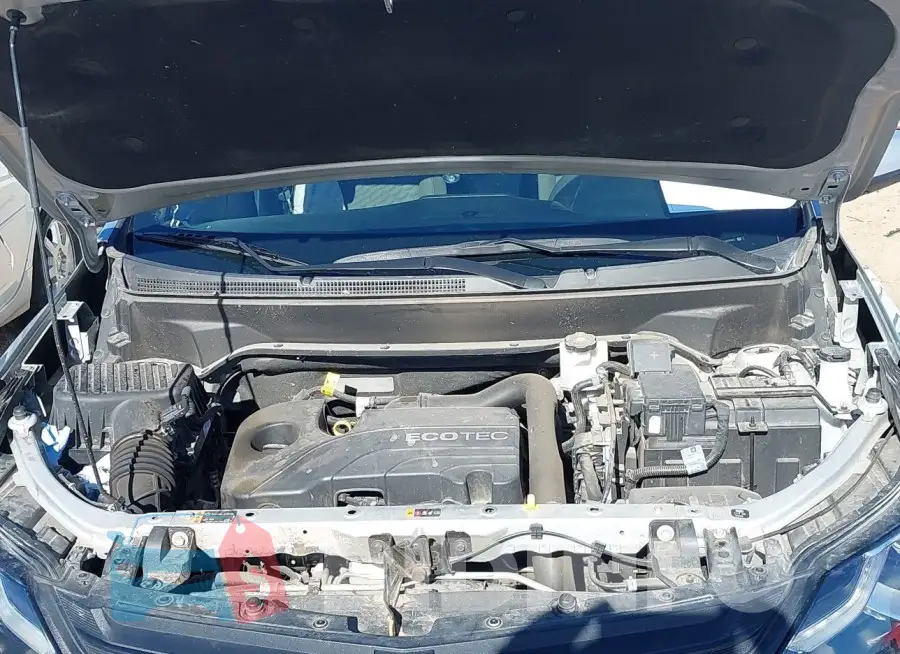 2GNAXKEV8L6239847 Photo# 10