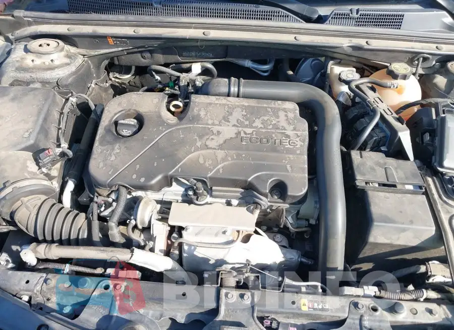 1G1ZD5ST3JF242563 Photo# 10