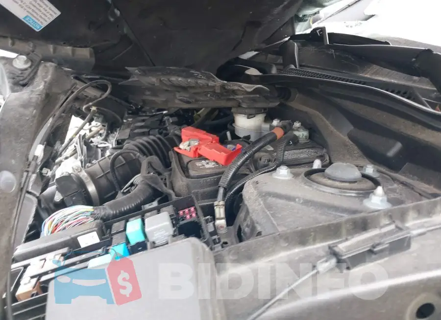 2HGFC3B33KH350443 Photo# 10