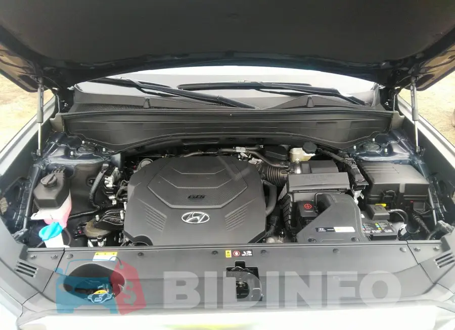 KM8R7DGE6PU568540 Photo# 10