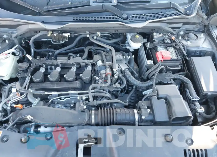 19XFC1F3XME002943 Photo# 10