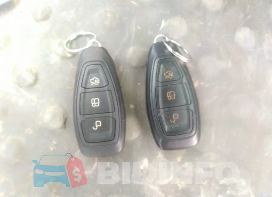 1FADP5BU7EL507113 Photo# 11