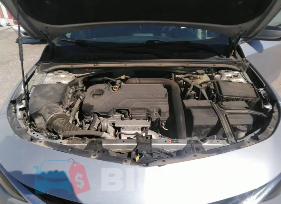 1G1ZB5ST7KF206446 Photo# 10