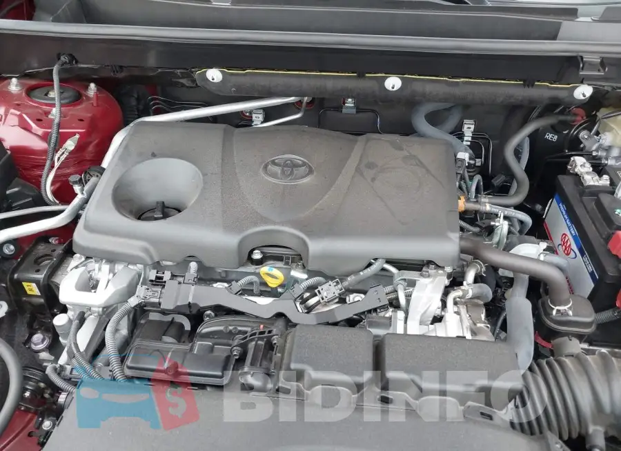 JTMN1RFV7KD519794 Photo# 10