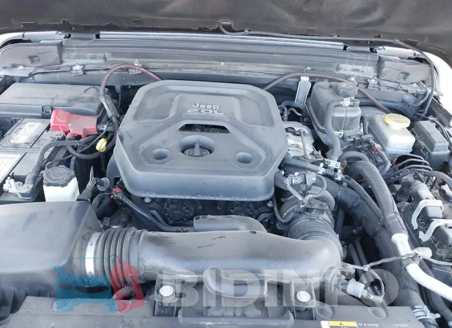 1C4HJXDN2JW234413 Photo# 10