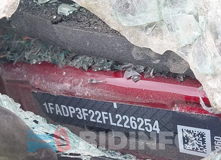1FADP3F22FL226254 Photo# 9