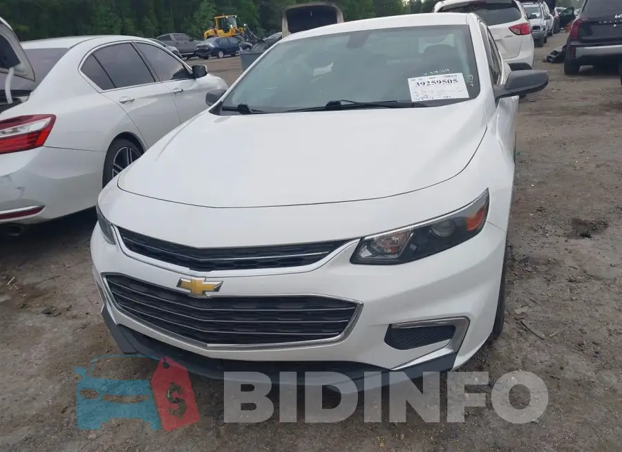 1G1ZB5ST1HF108974 Photo# 12