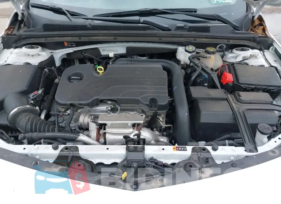 1G1ZD5ST2PF161062 Photo# 10