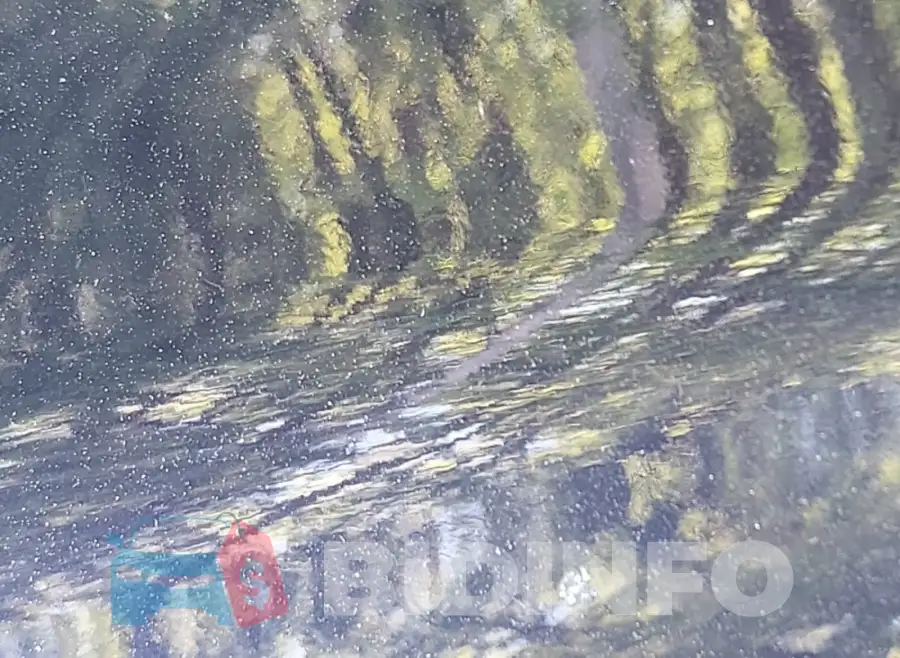 5TDXBRCH4MS530196 Photo# 3