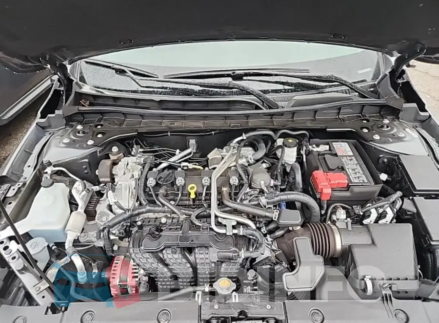1N4BL4DV0PN339888 Photo# 9