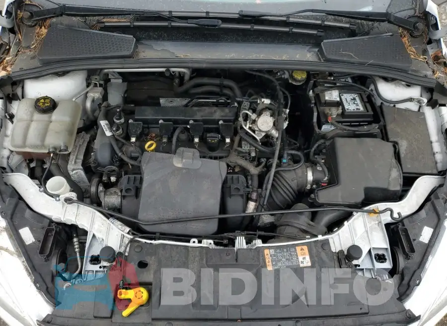 1FADP3E24GL329744 Photo# 12