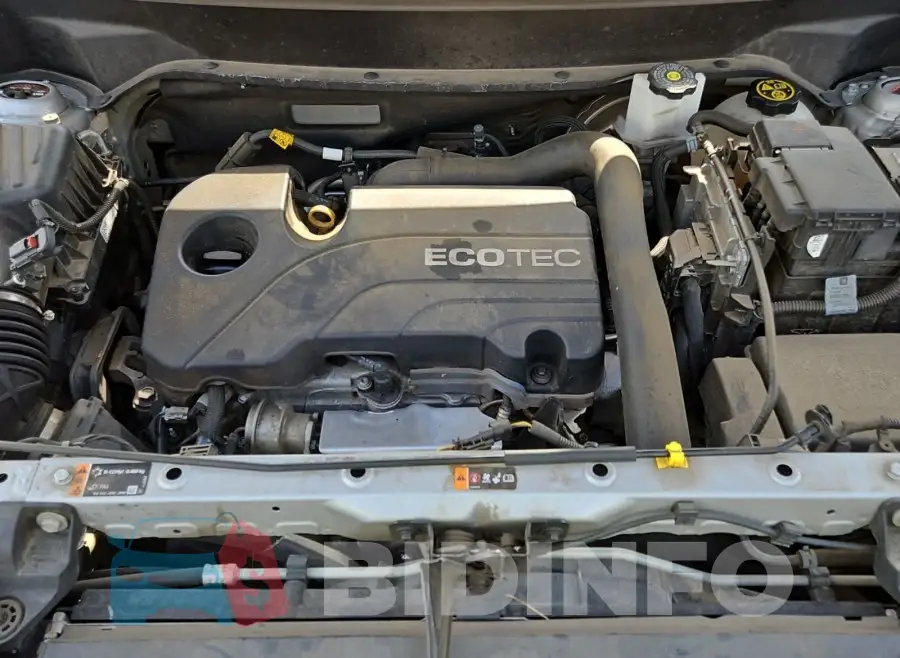 2GNAXTEV4L6185520 Photo# 19