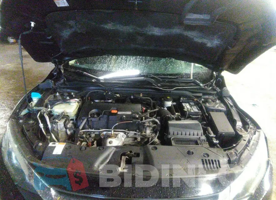 19XFC2F58HE208274 Photo# 10