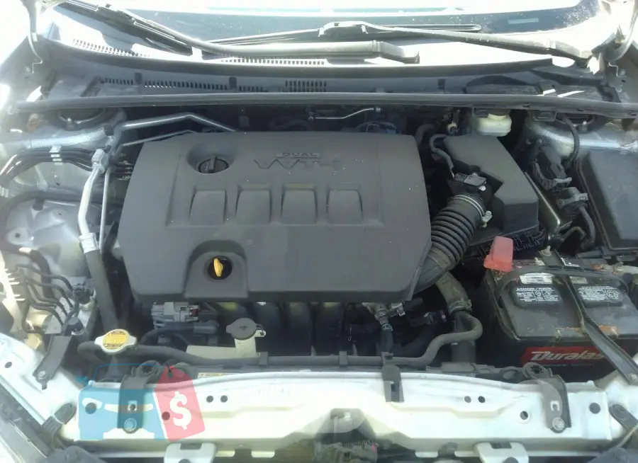 5YFBURHEXGP427929 Photo# 10