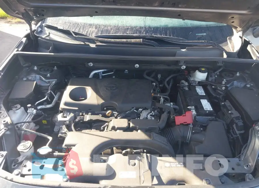 2T3P1RFV8MC226177 Photo# 10