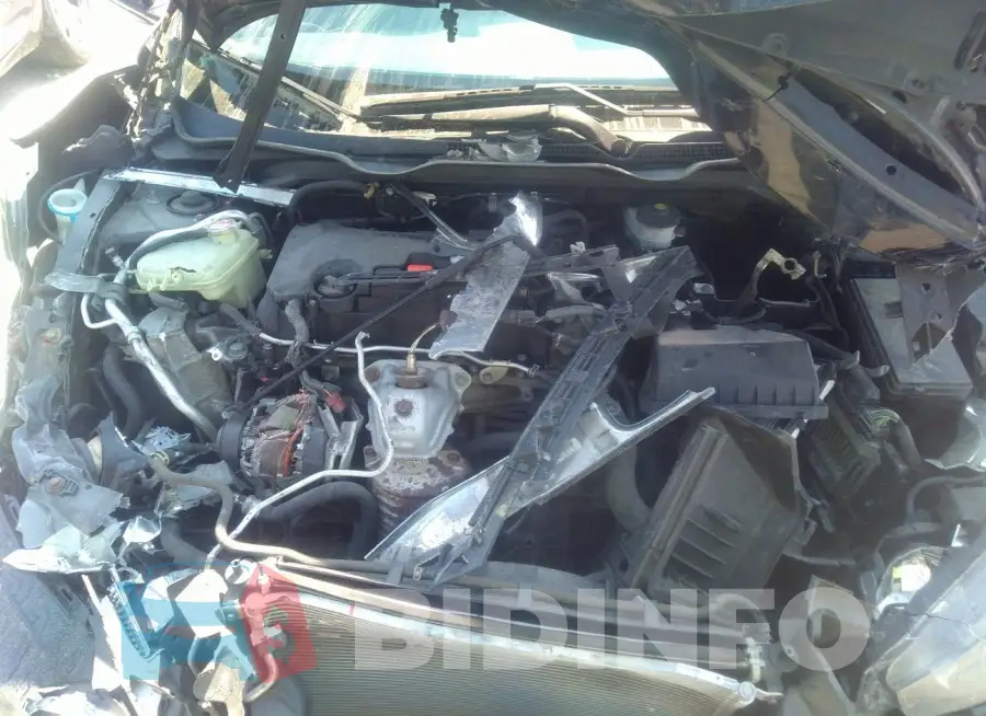 19XFC2F5XGE227150 Photo# 10