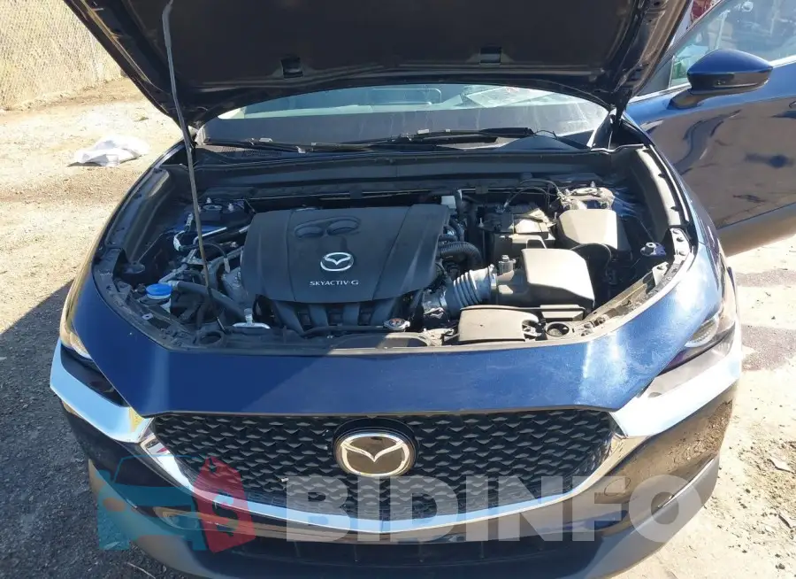 3MVDMABL6MM215175 Photo# 10