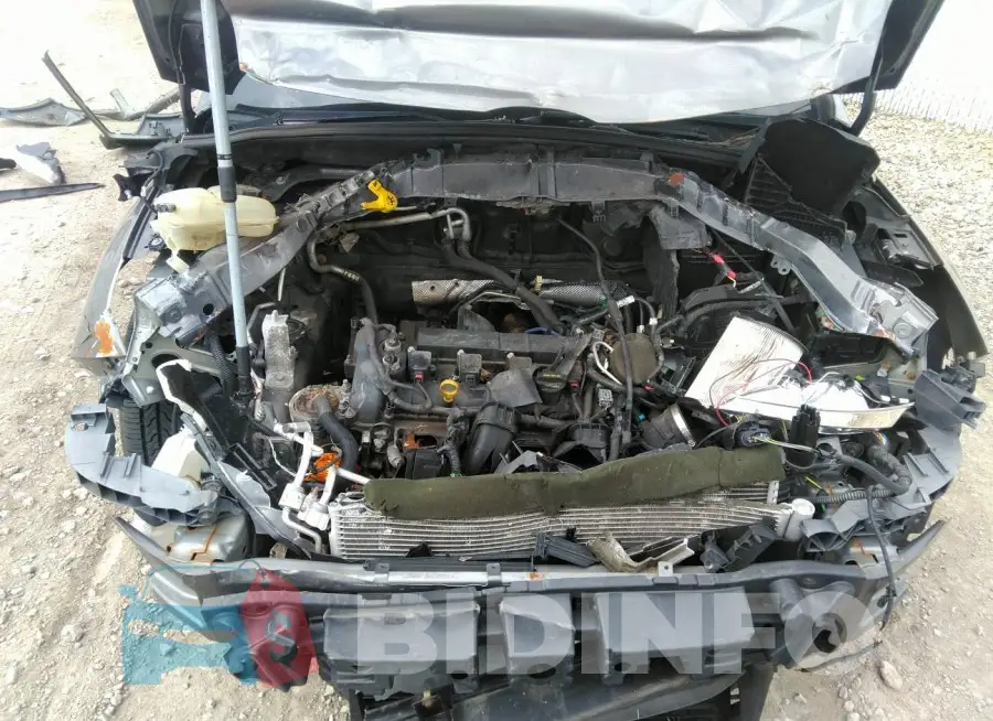 1FADP3K23EL128645 Photo# 10