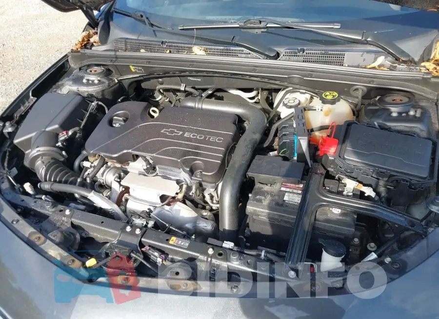 1G1ZB5ST7HF178902 Photo# 10