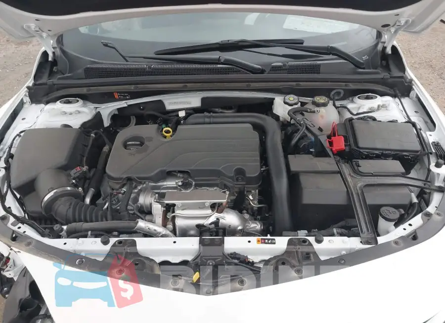 1G1ZD5ST4PF231502 Photo# 10