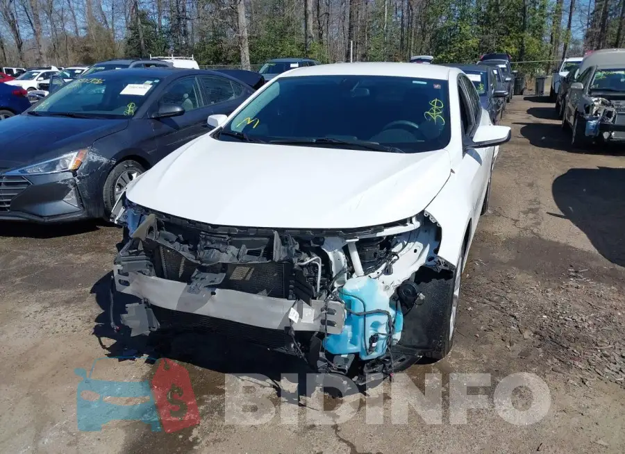 1G1ZD5ST0KF171114 Photo# 6