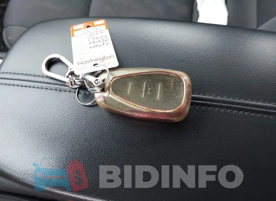 1G1ZD5ST3KF117984 Photo# 11