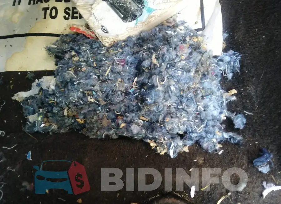 1FADP3F20HL241175 Photo# 12