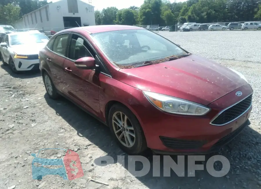 1FADP3F20HL241175 Photo# 1