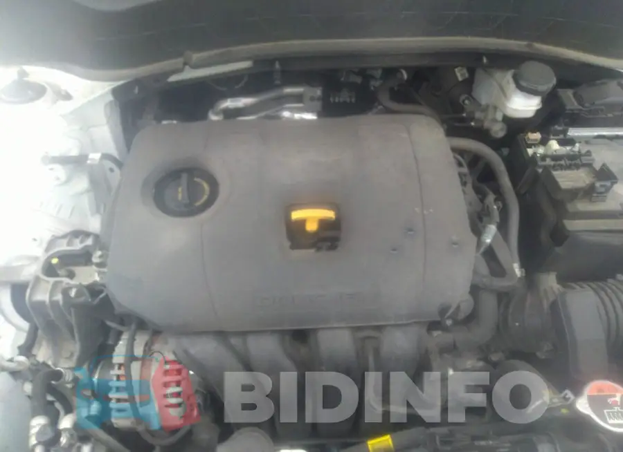 KNDEPCAA5M7099227 Photo# 10