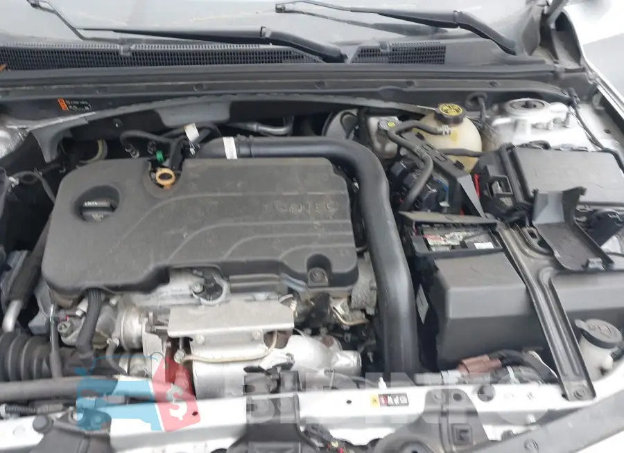1G1ZD5ST3LF011343 Photo# 10