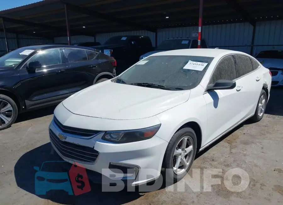 1G1ZB5ST6HF176882 Photo# 6