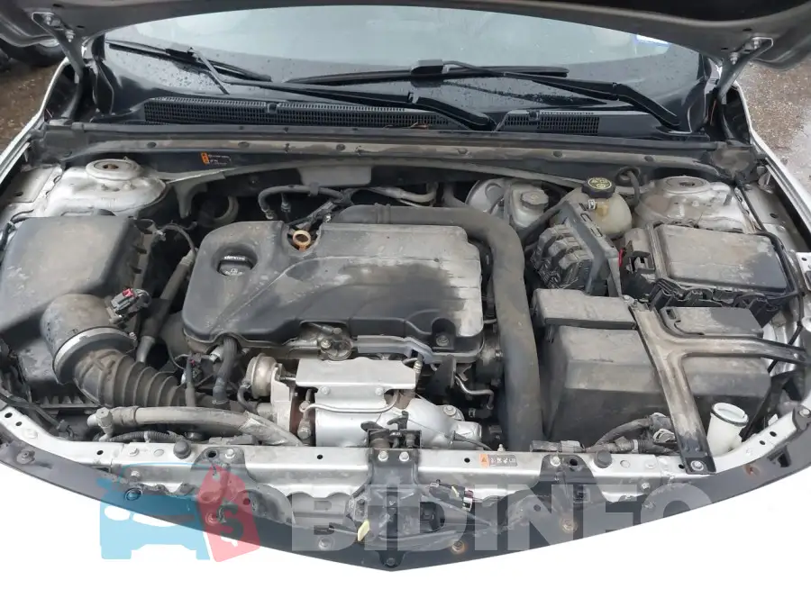 1G1ZB5ST9HF286986 Photo# 10