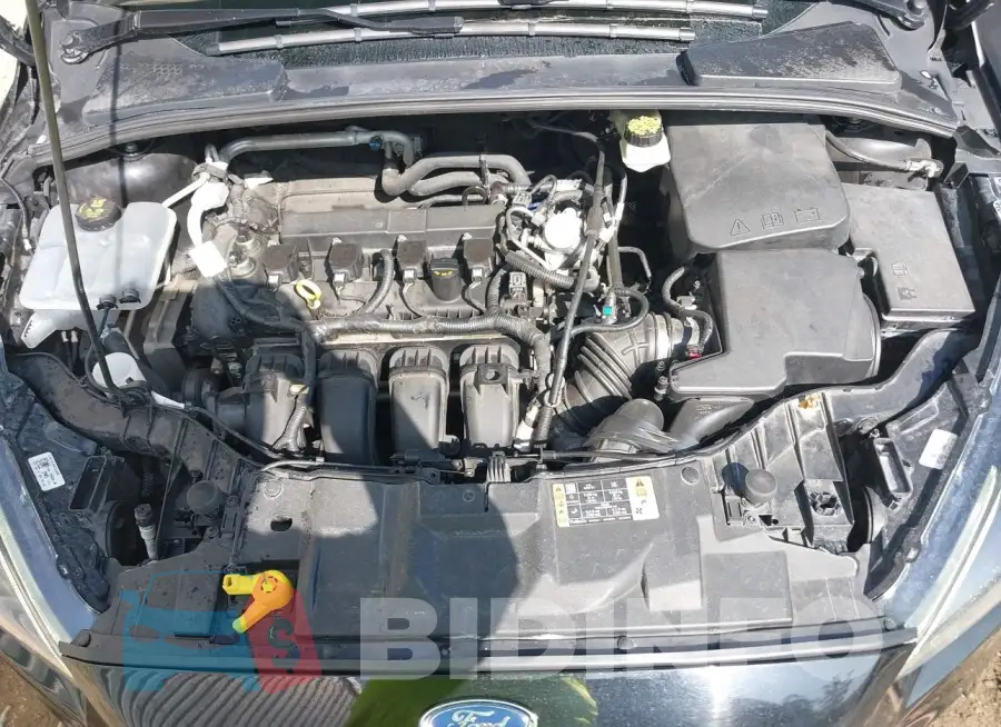 1FADP3M24HL314552 Photo# 10