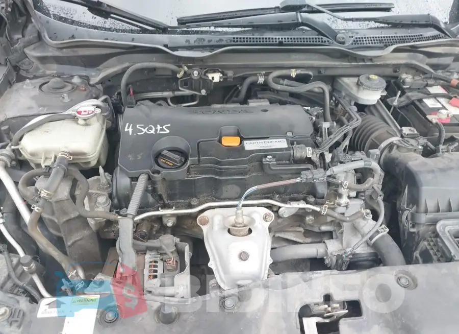 19XFC2F57GE091284 Photo# 10