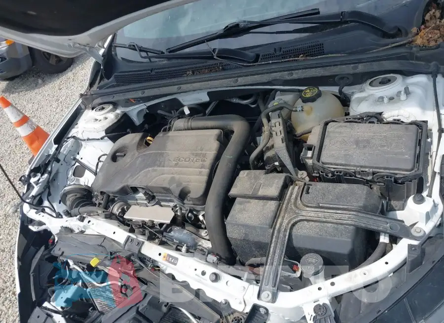1G1ZD5ST2LF005484 Photo# 10