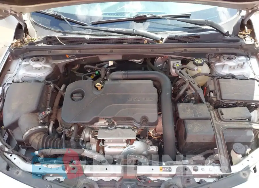 1G1ZD5ST7MF017194 Photo# 10