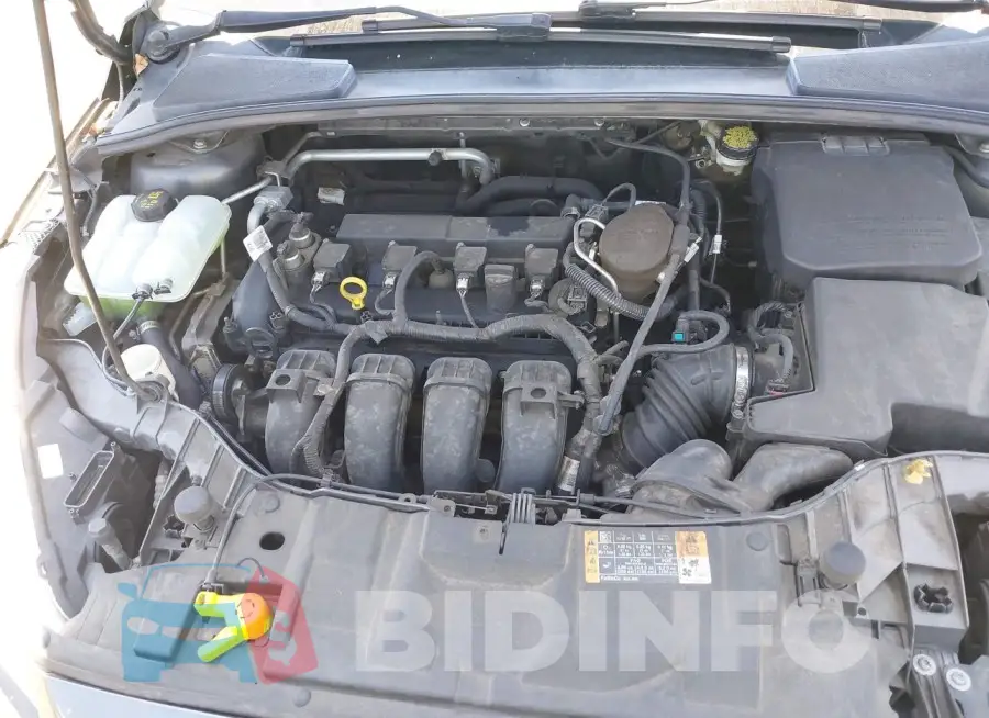 1FADP3E21GL282303 Photo# 10