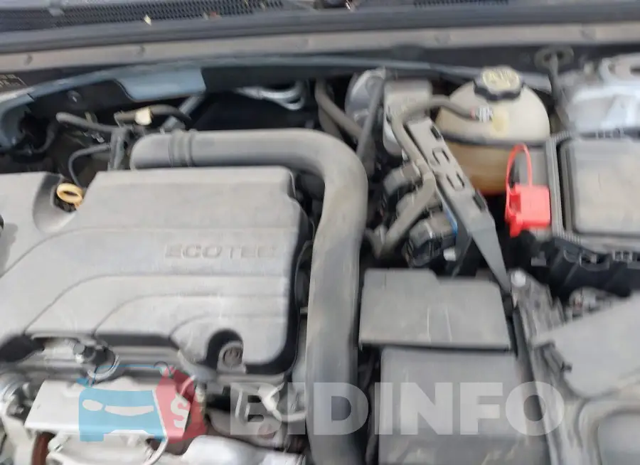 1G1ZD5ST9JF248819 Photo# 10