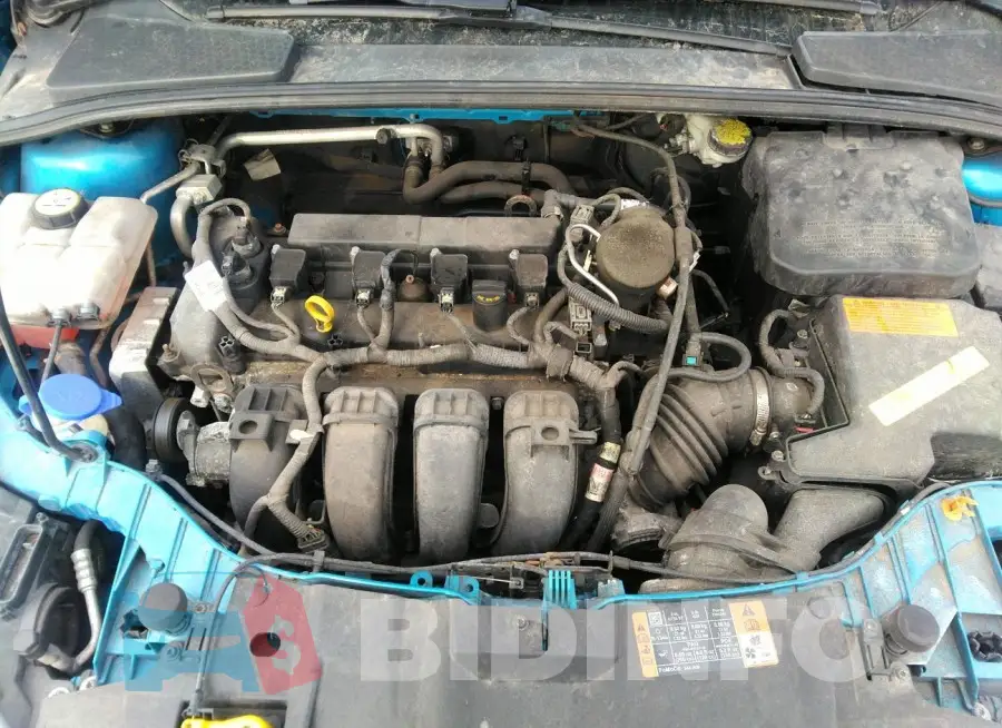 1FADP3F29FL280201 Photo# 10