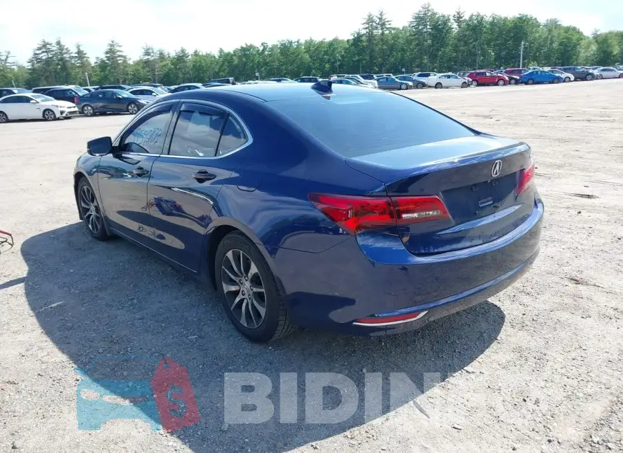 19UUB1F51FA015938 Photo# 3