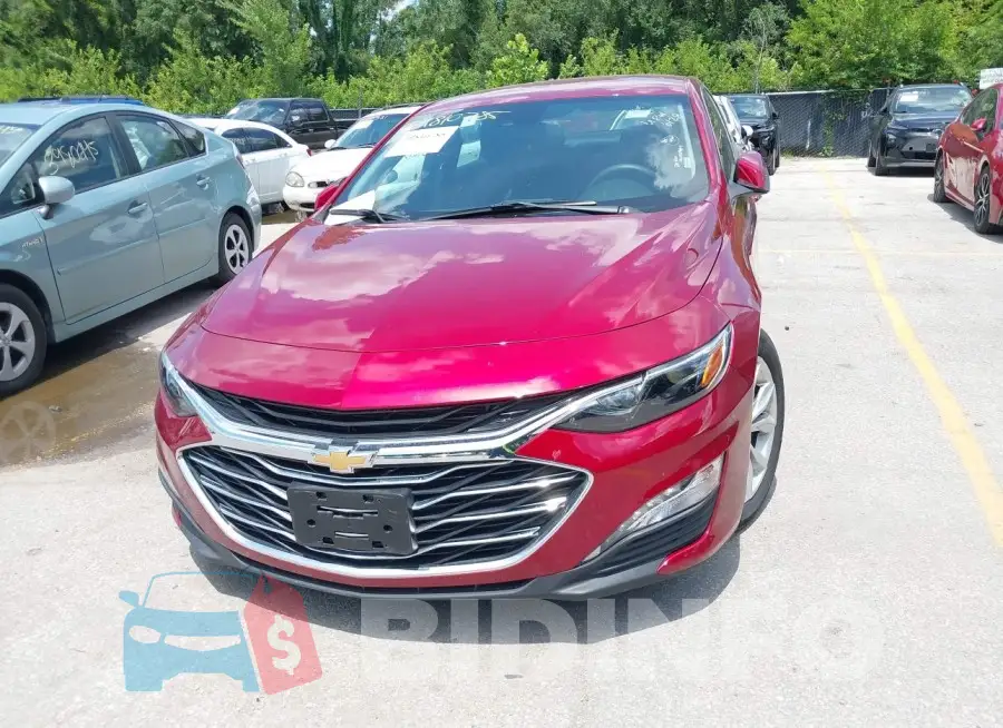 1G1ZD5ST7RF164591 Photo# 6