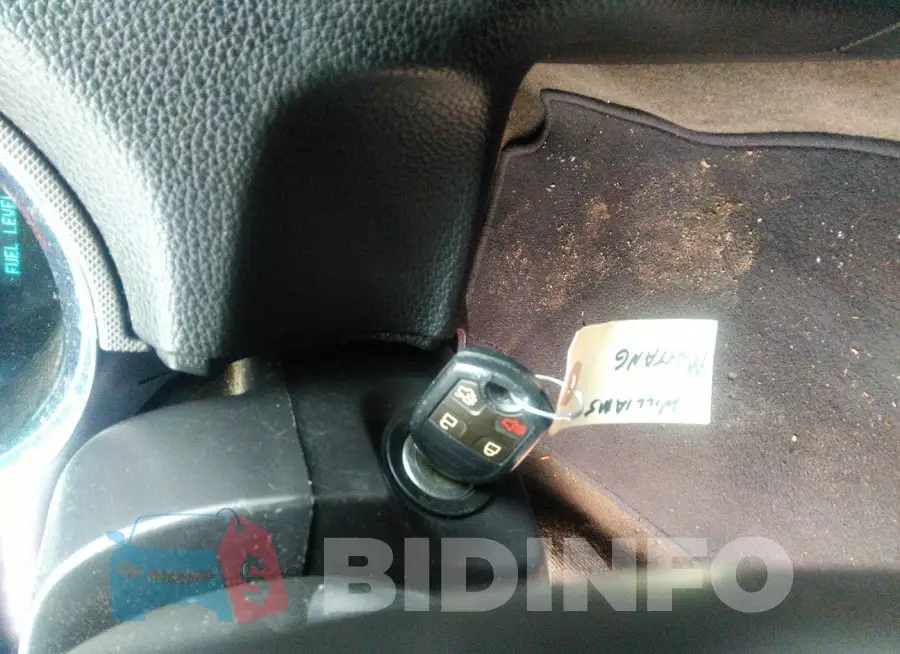 1ZVBP8AM4E5249221 Photo# 11