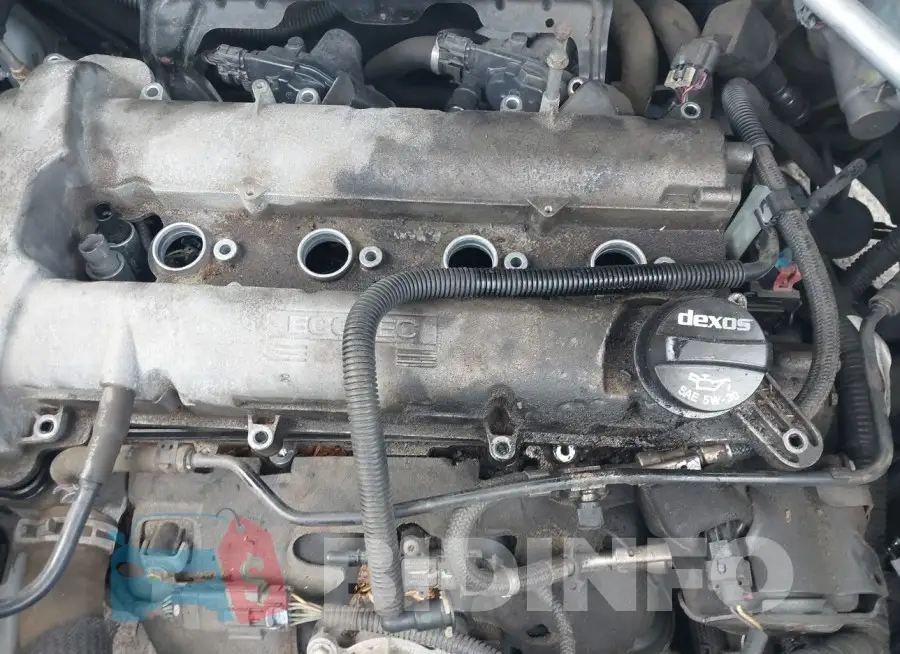 2GNFLGEK3F6371648 Photo# 6