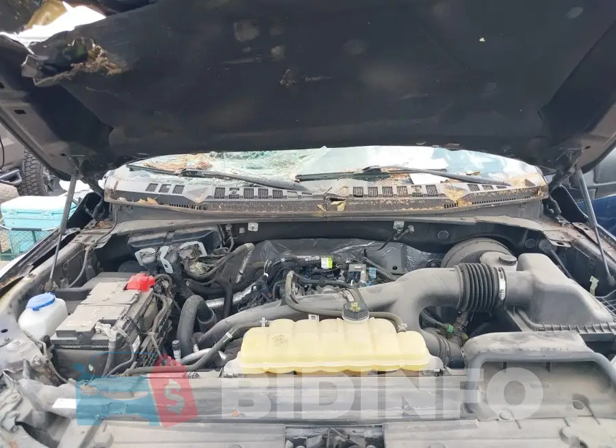 1FTEW1CP3KKD44061 Photo# 10